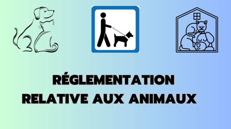 Arrêté n°2023-65 interdisant la divagation des chiens