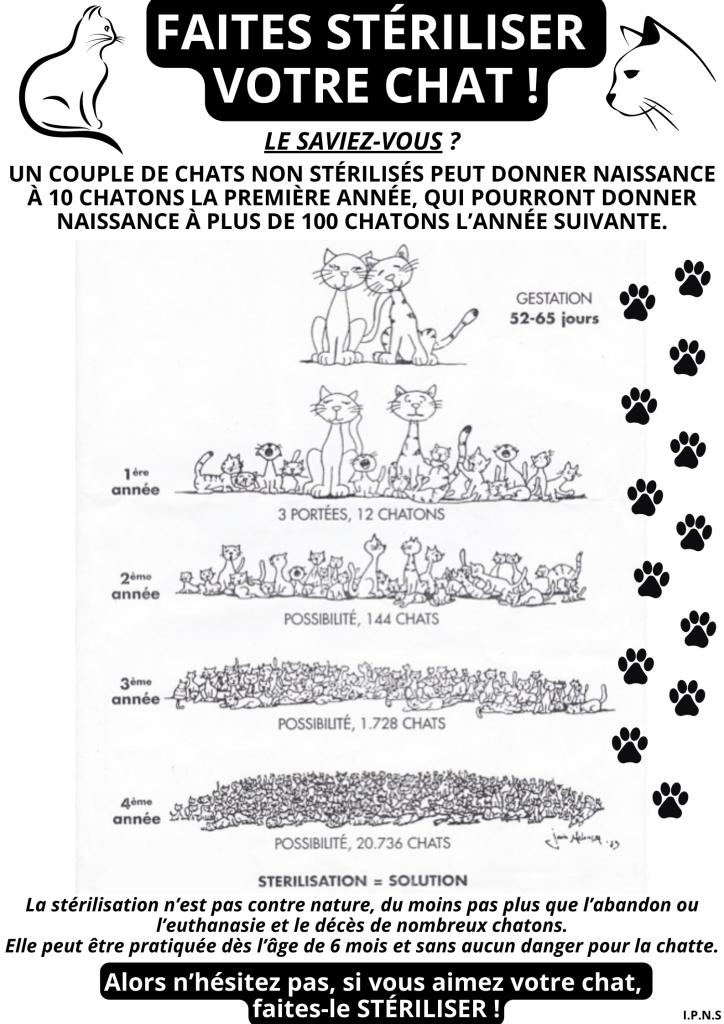 Faites StÉriliser Votre Chat !