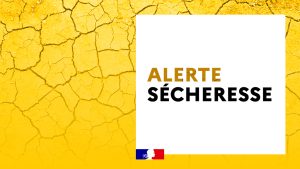 Sécheresse – Niveau ALERTE Jaune : Une amélioration progressive
