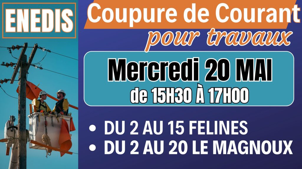 Coupures ENEDIS felines