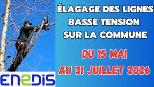 Travaux d&rsquo;élagage du 15 mai au 31 juillet 2026