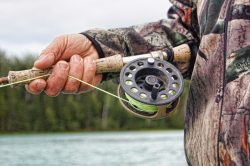 fisherman-591699_1280